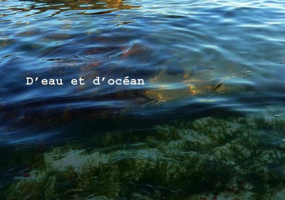 d'eau et d'océan par Murielle V